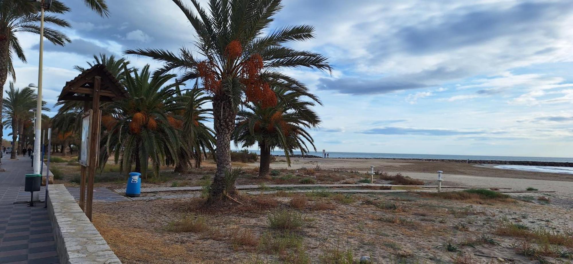Vacaciones En El Mar Lägenhet Sagunto Exteriör bild